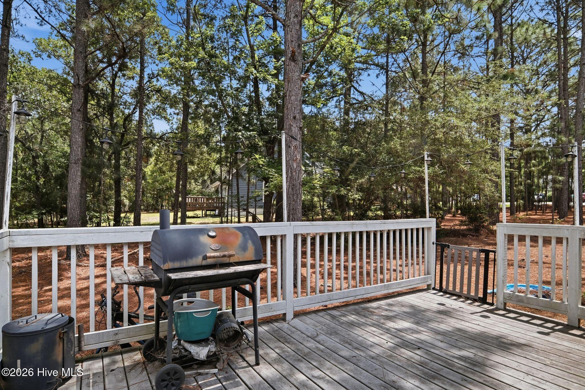 102 Pinesage Drive Property Photo 21