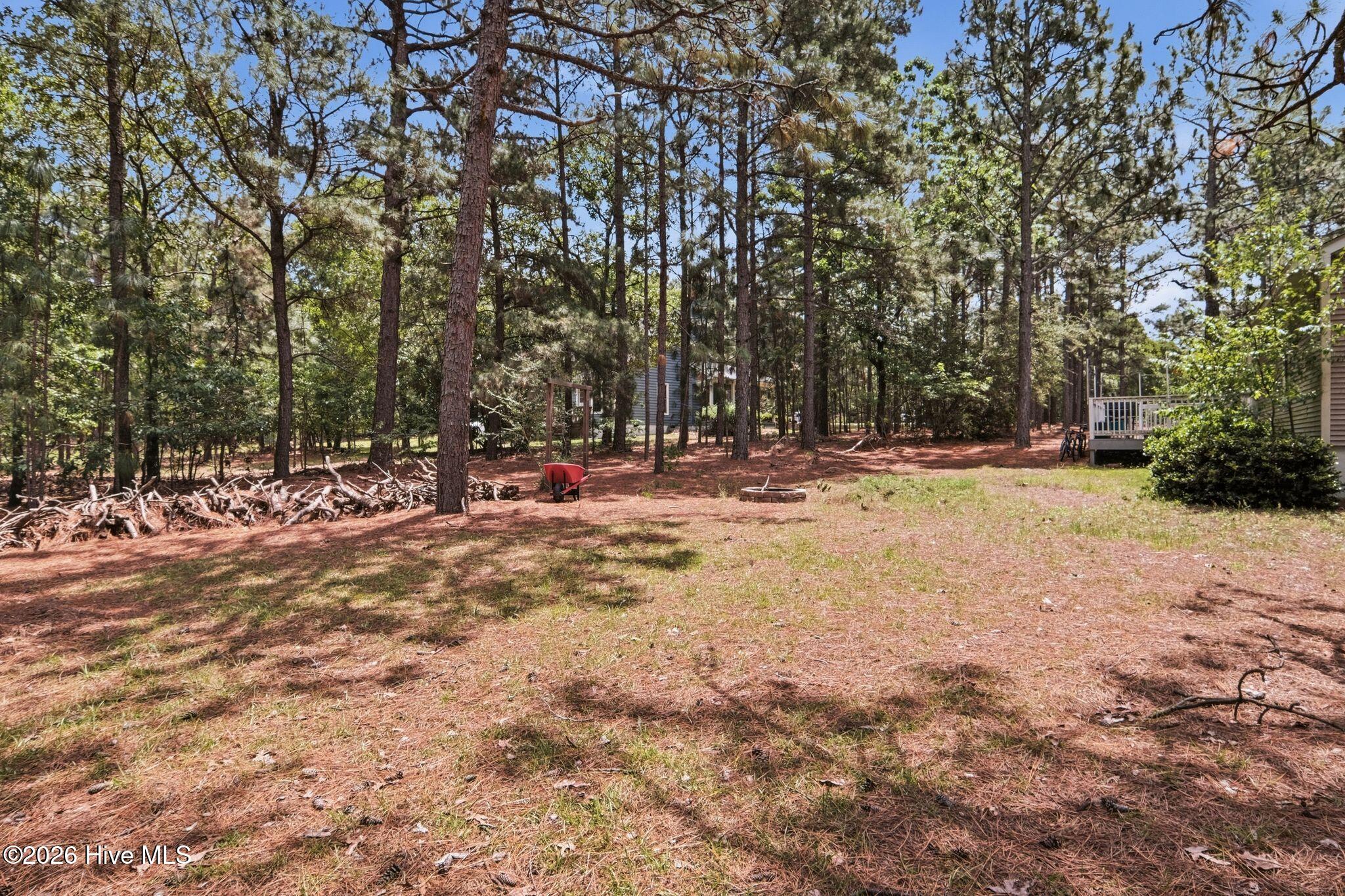 102 Pinesage Drive Property Photo 25