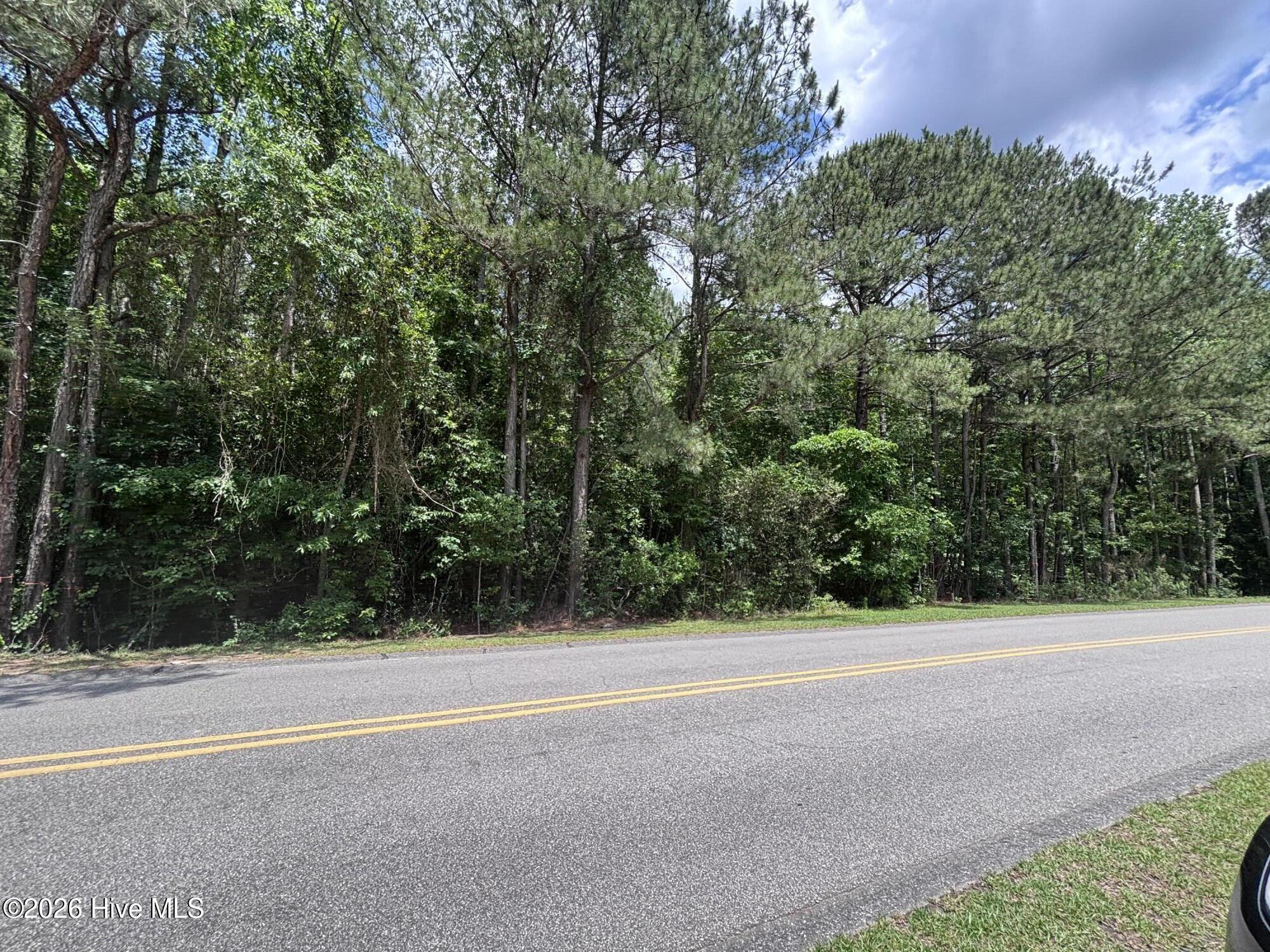 Lot 22r Longleaf Drive Property Photo 2
