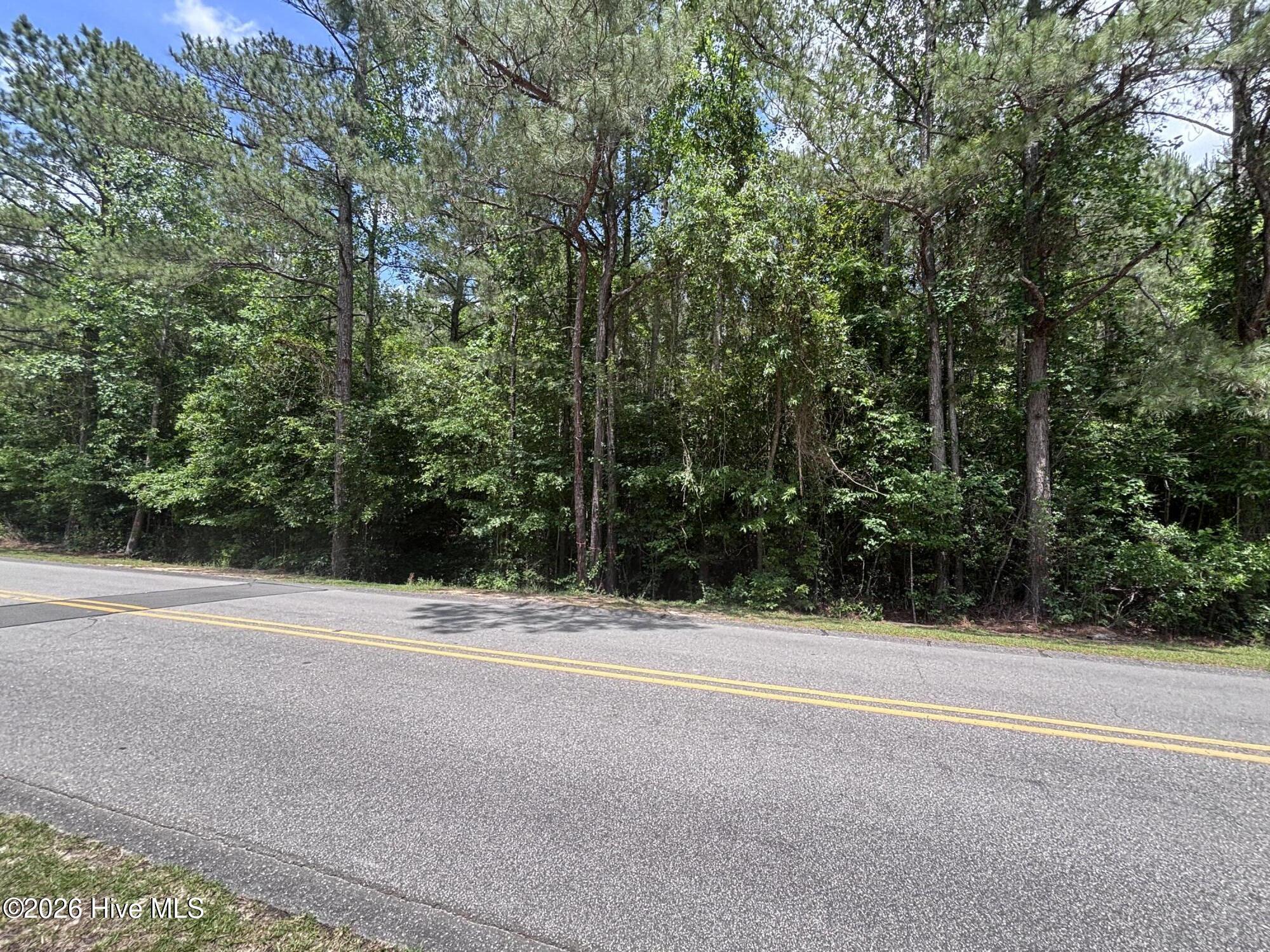 Lot 22r Longleaf Drive Property Photo 3