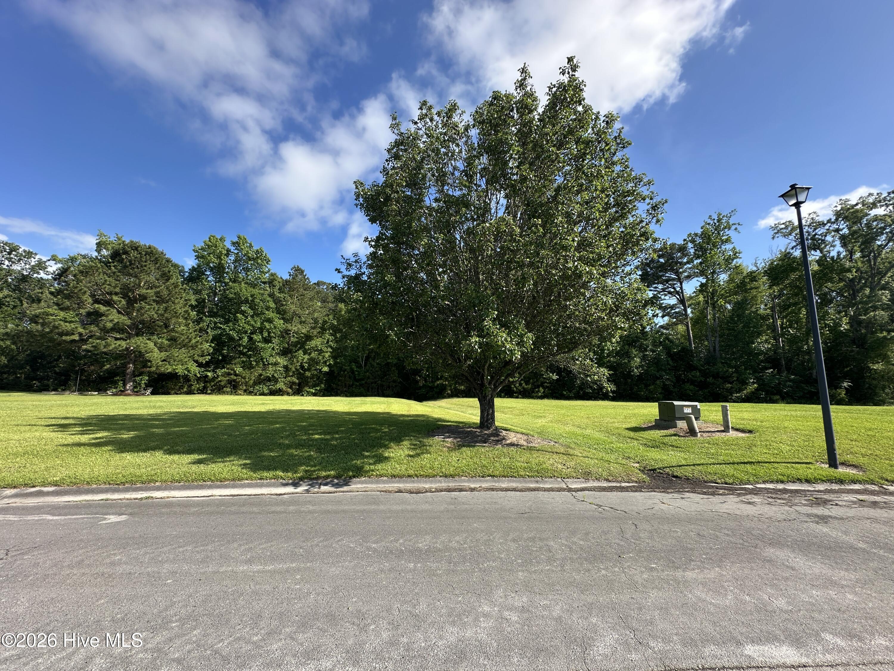 98 77 Carolina Way Property Photo 1