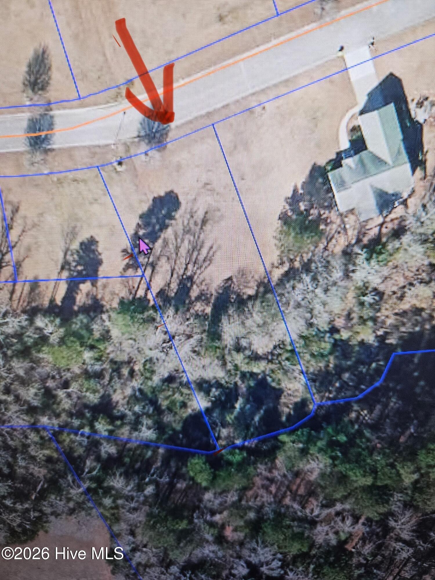 98 77 Carolina Way Property Photo 4
