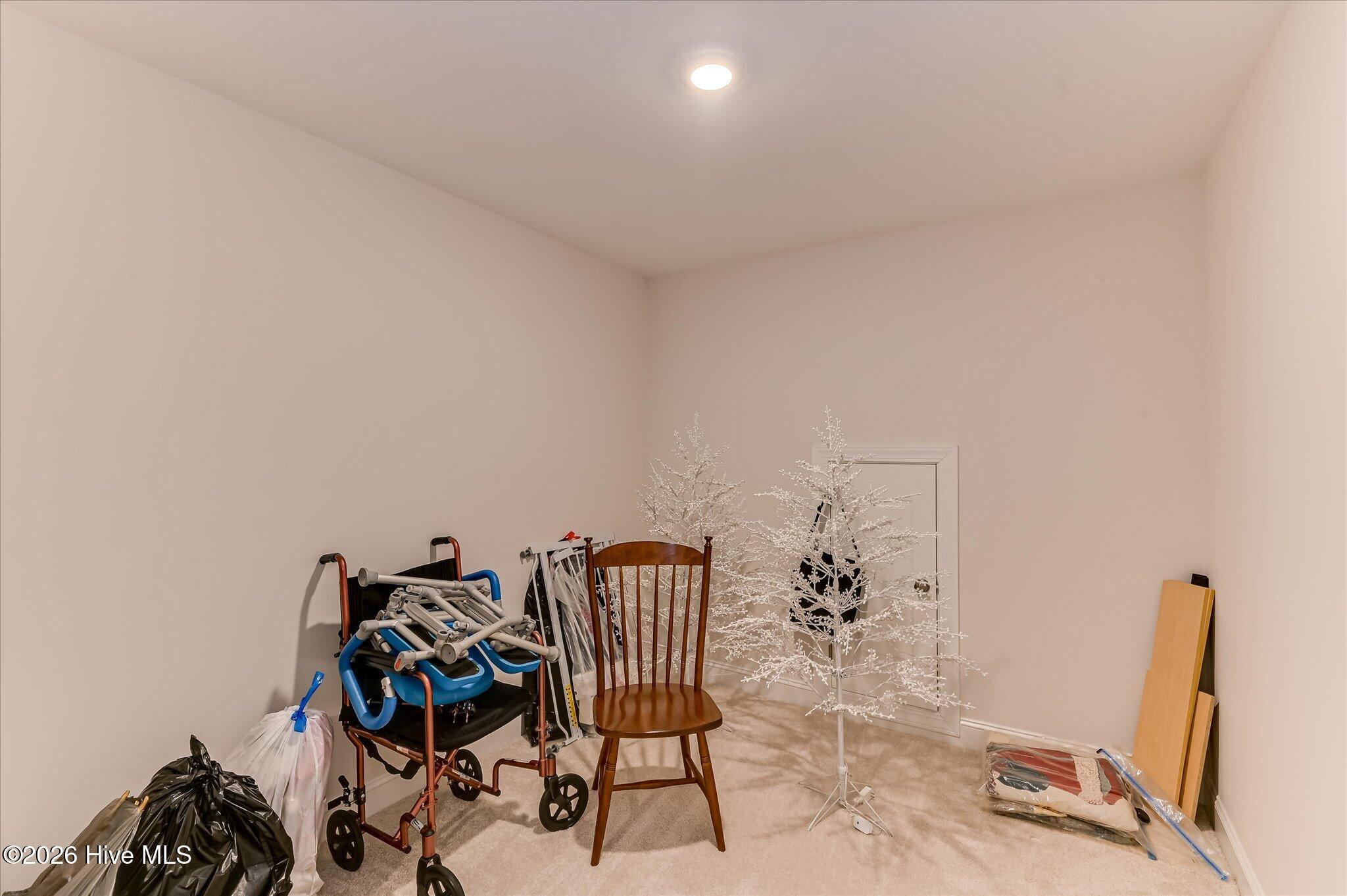 122 Fitzsimmons Drive Property Photo 35