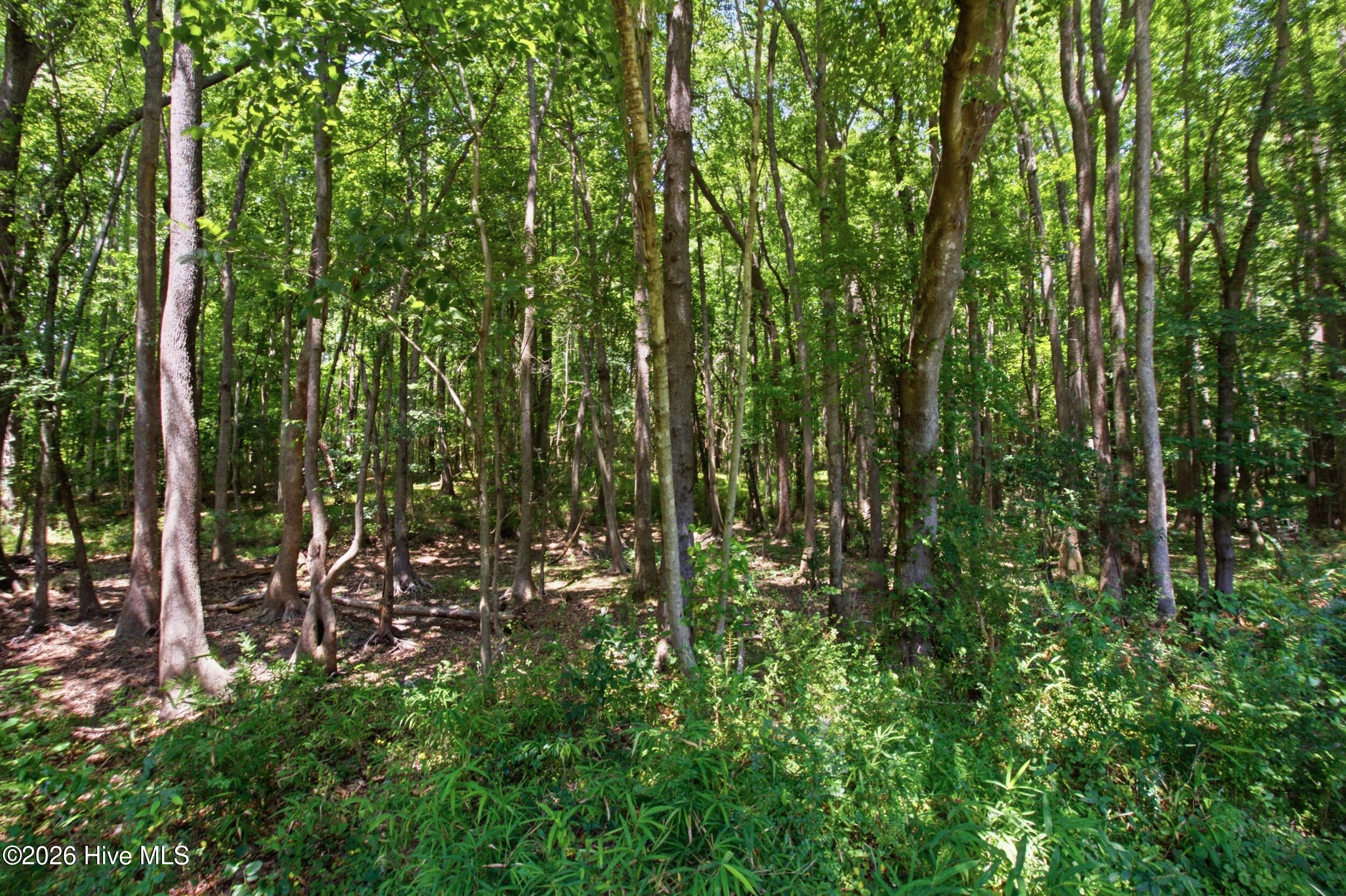 1228 Core Point Road Property Photo 27