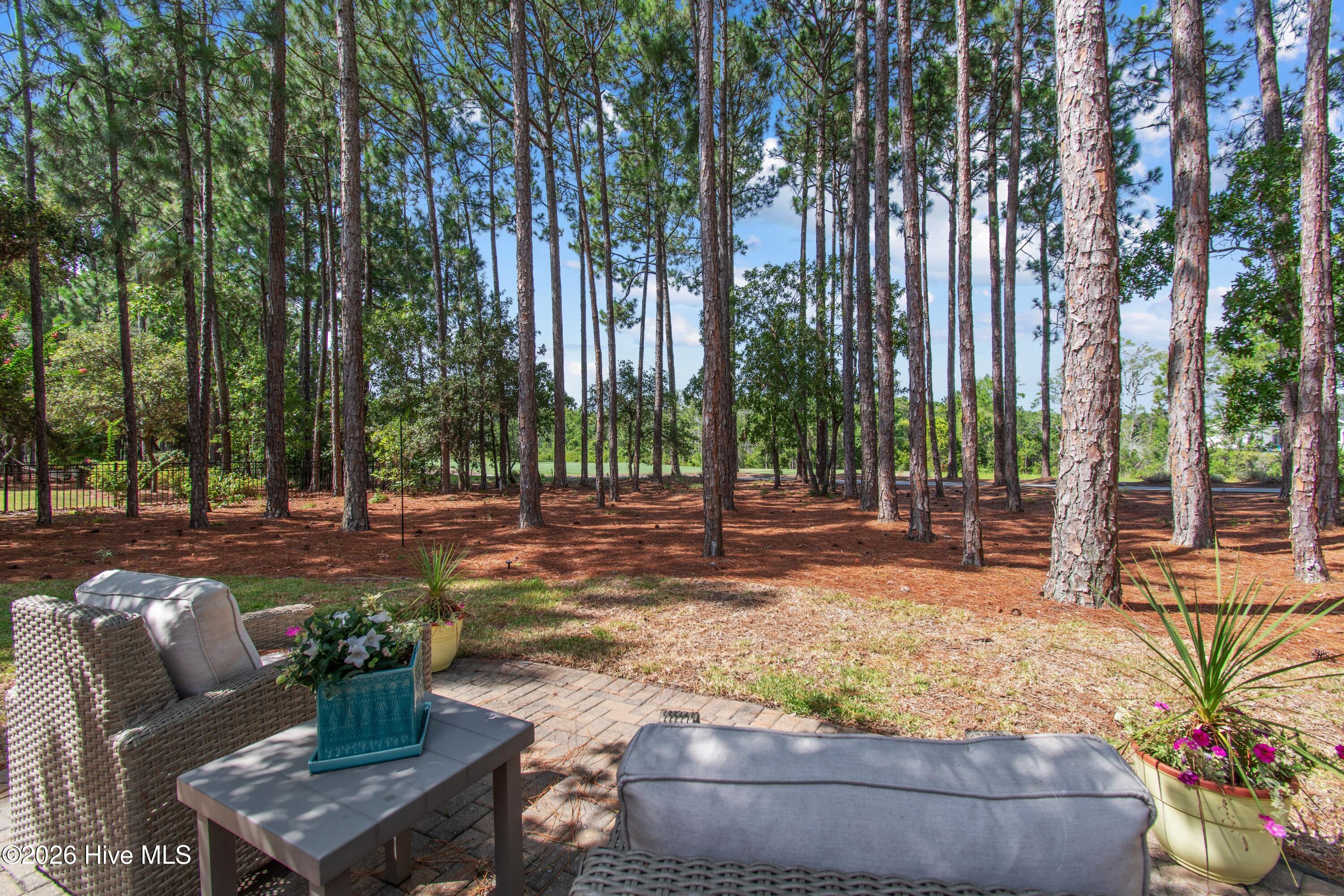 3807 Ridge Crest Drive Property Photo 49