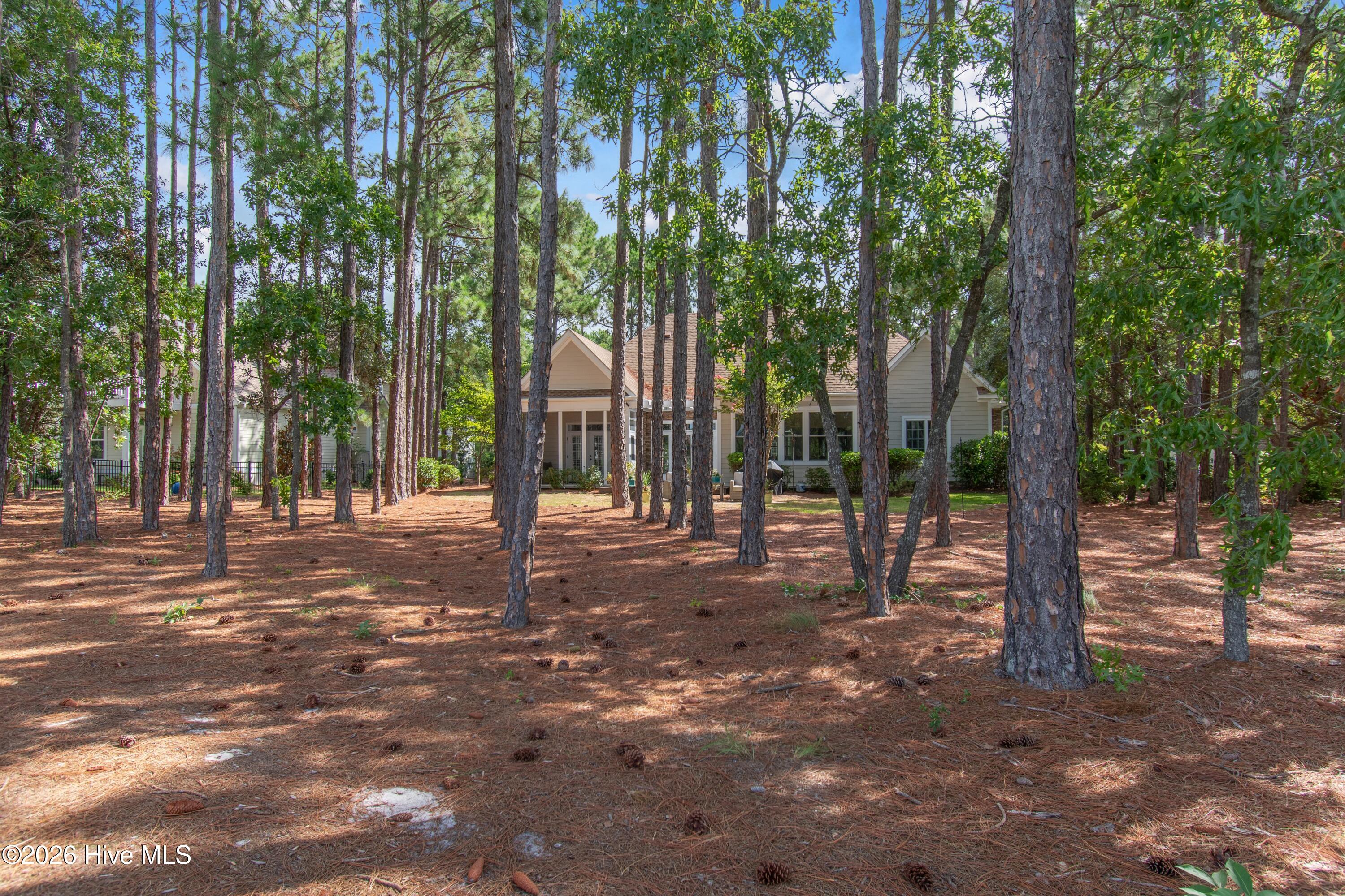 3807 Ridge Crest Drive Property Photo 58
