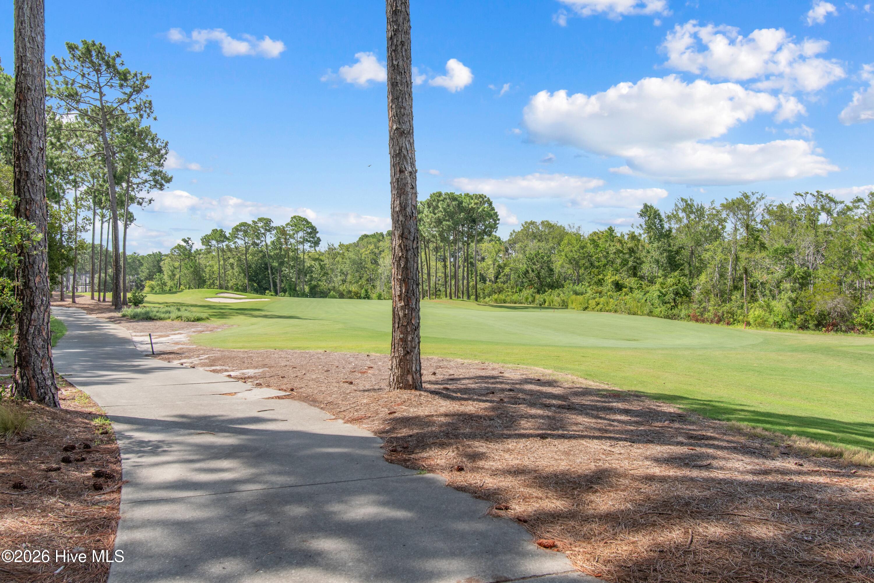 3807 Ridge Crest Drive Property Photo 59
