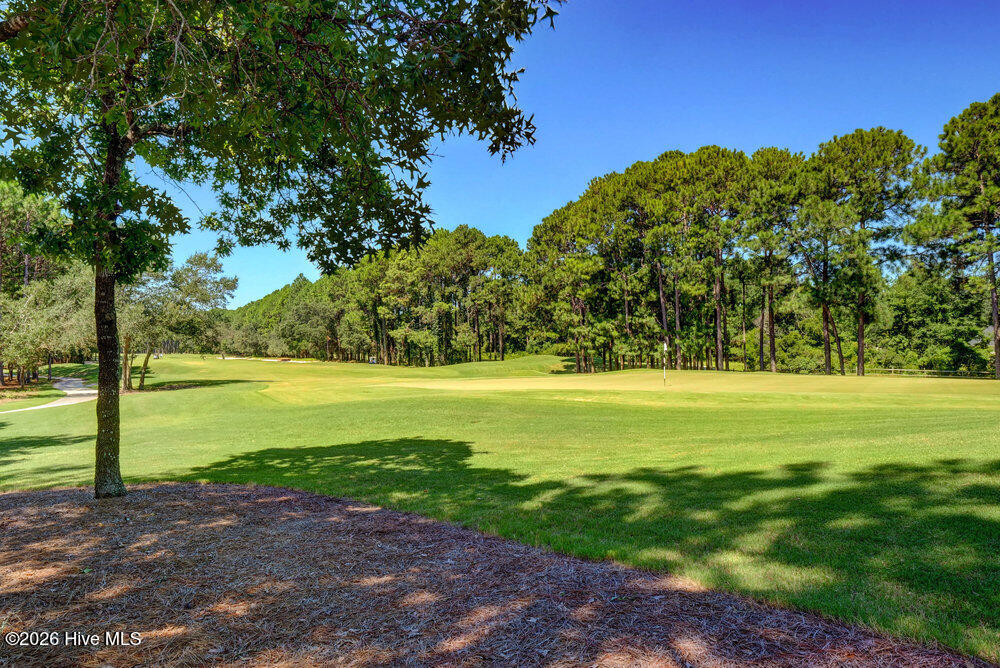 3807 Ridge Crest Drive Property Photo 60