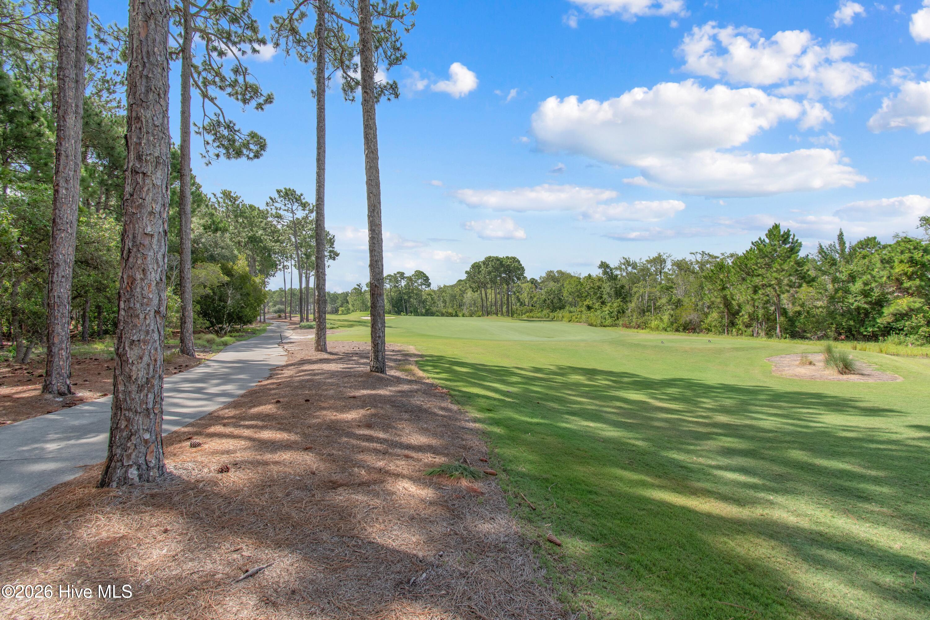 3807 Ridge Crest Drive Property Photo 61