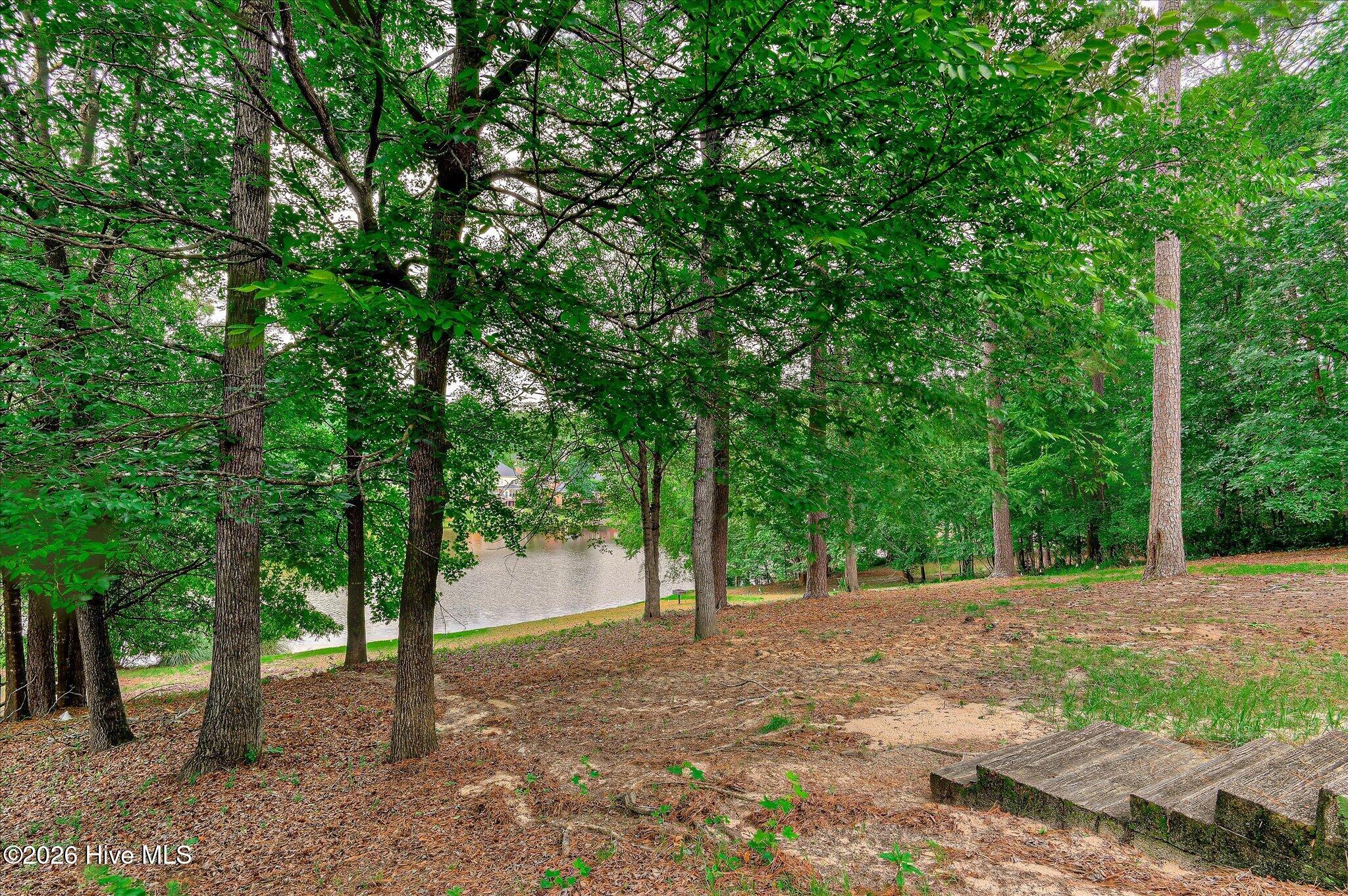 781 Sparkleberry Road Property Photo 3