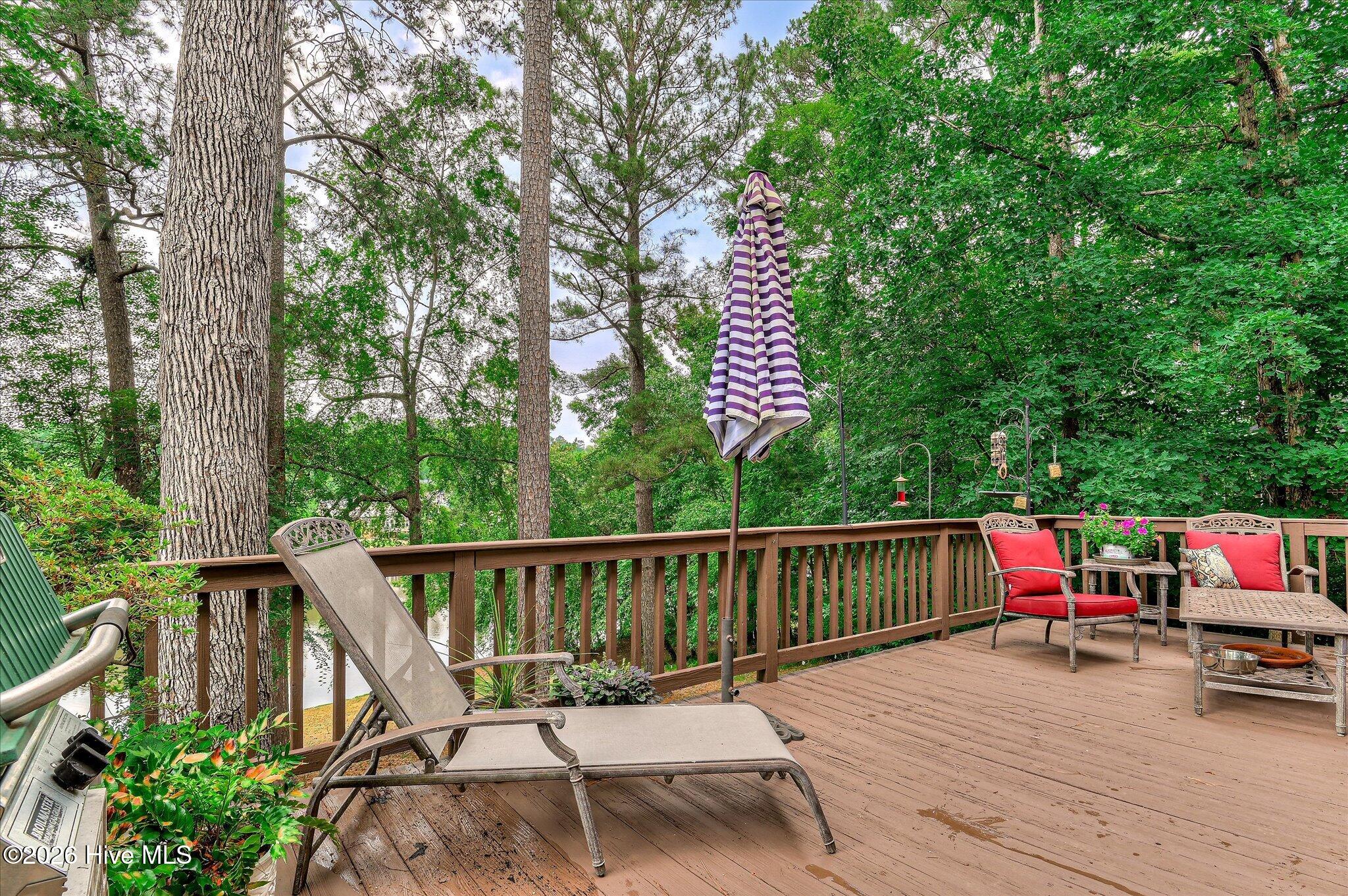 781 Sparkleberry Road Property Photo 71