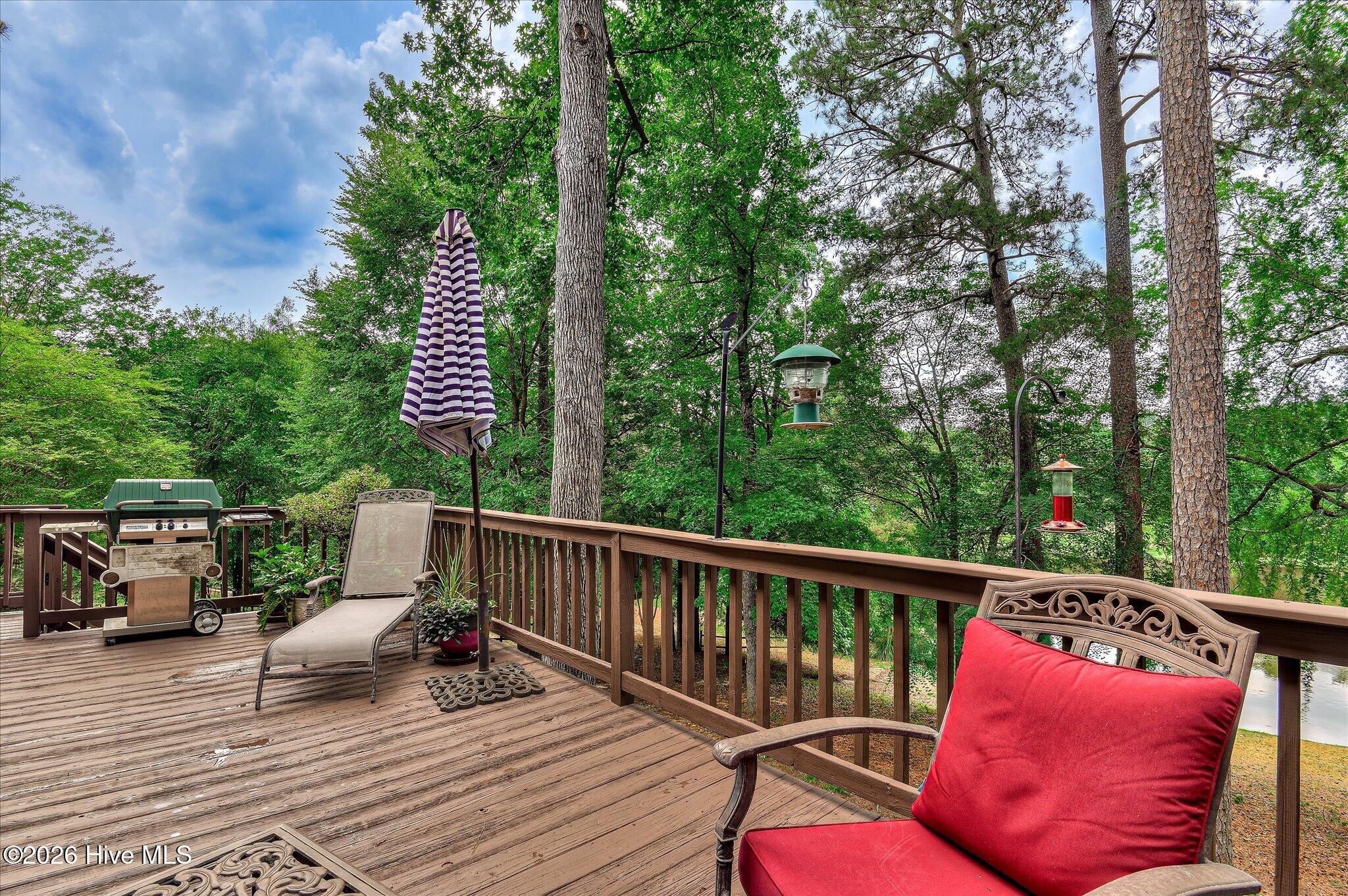 781 Sparkleberry Road Property Photo 72