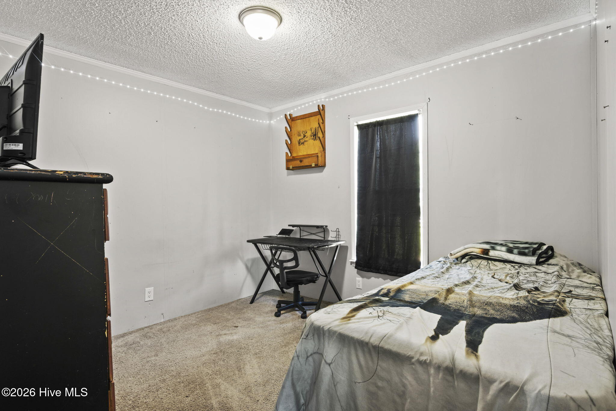202 Red Sorrel Drive Property Photo 24