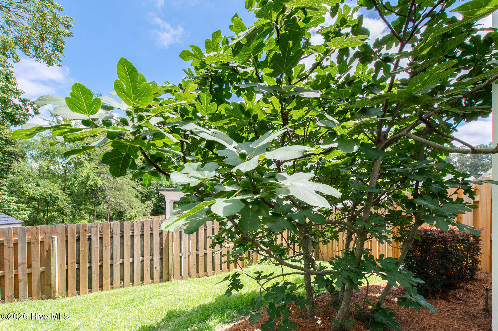 2609 Sherborne Court Property Photo 29