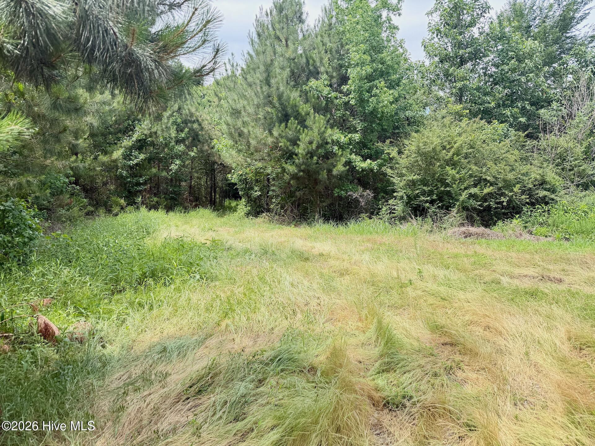 0 Indian Woods Road Property Photo 33