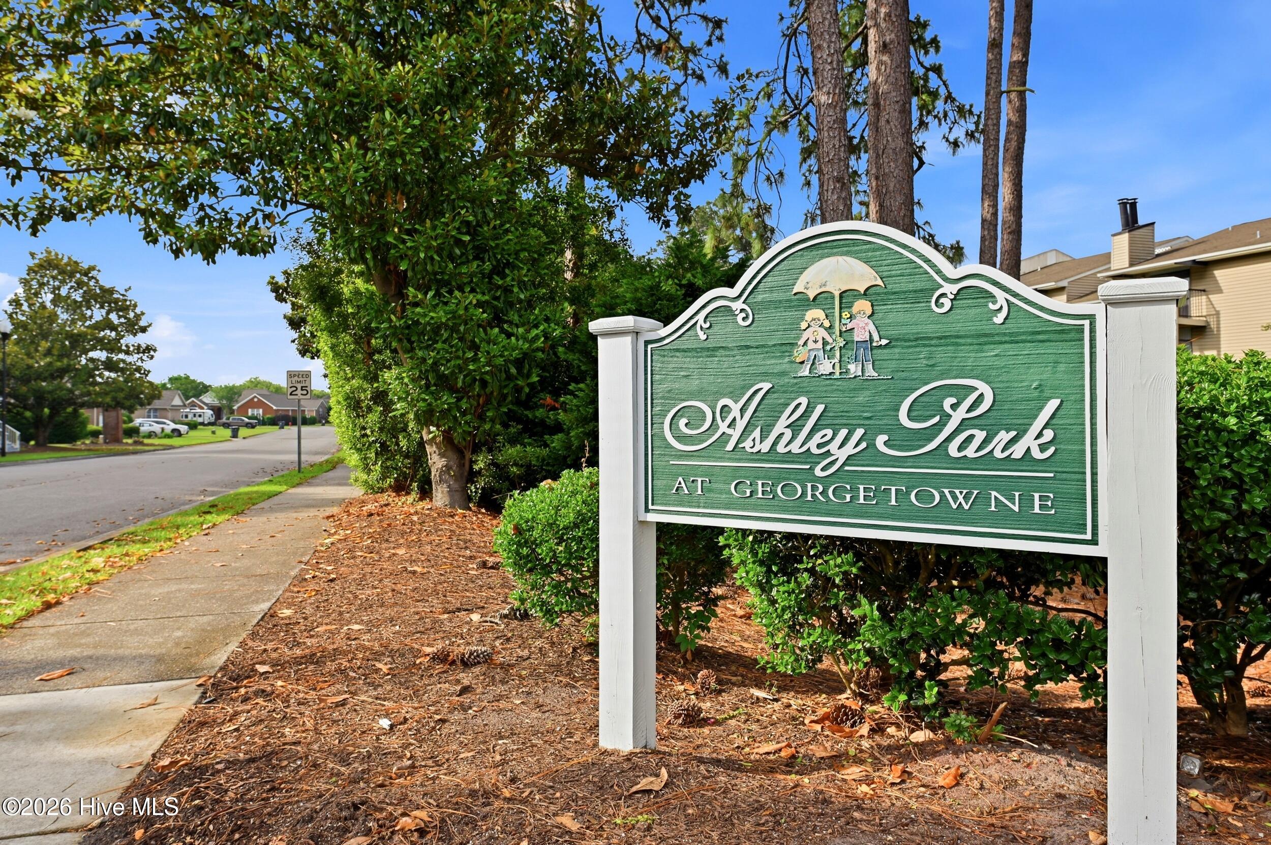 4325 Ashley Park Drive Property Photo 28