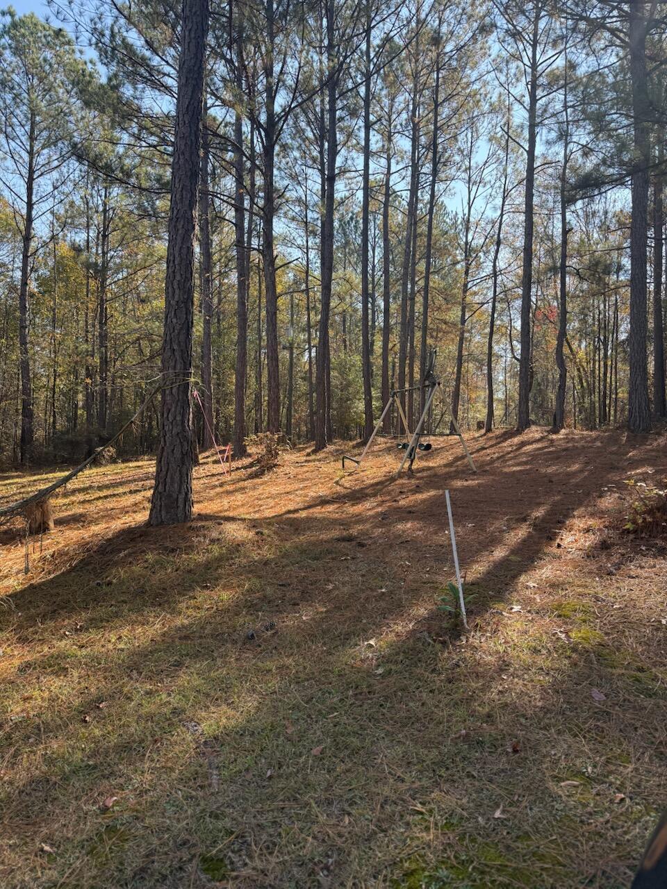 5584 Rosemont Drive Property Photo 8