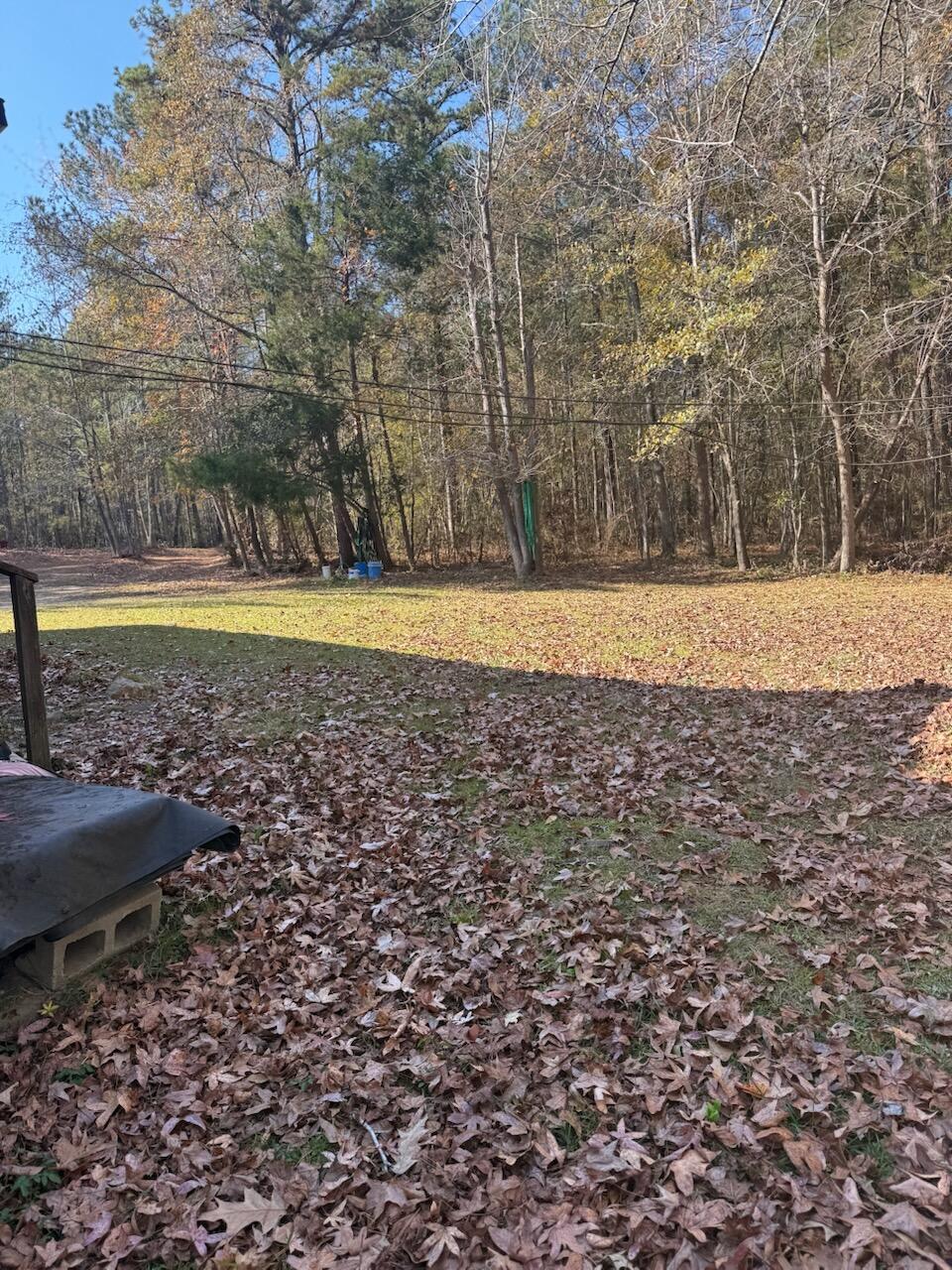 5584 Rosemont Drive Property Photo 9