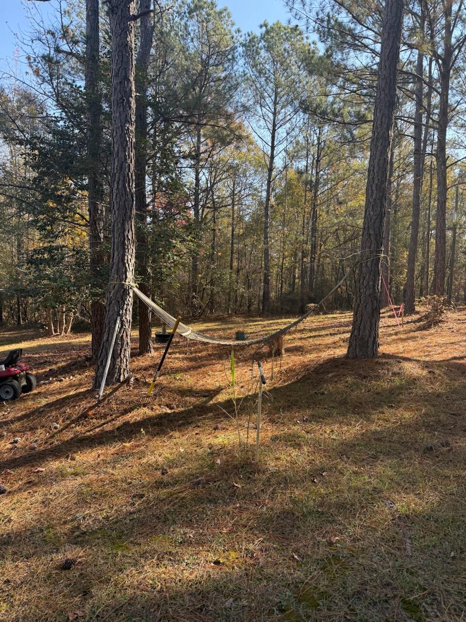5584 Rosemont Drive Property Photo 11