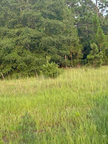 5584 Rosemont Drive Property Photo 12