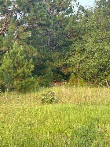 5584 Rosemont Drive Property Photo 13