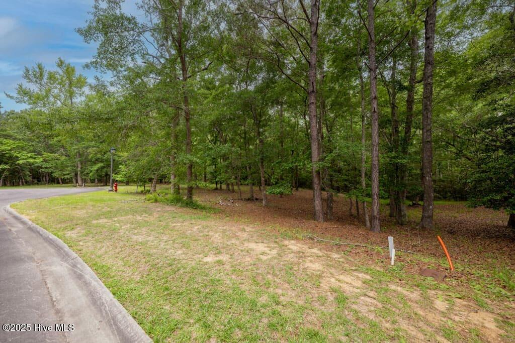 Lot 21 21 Bay Creek Drive Property Photo 15