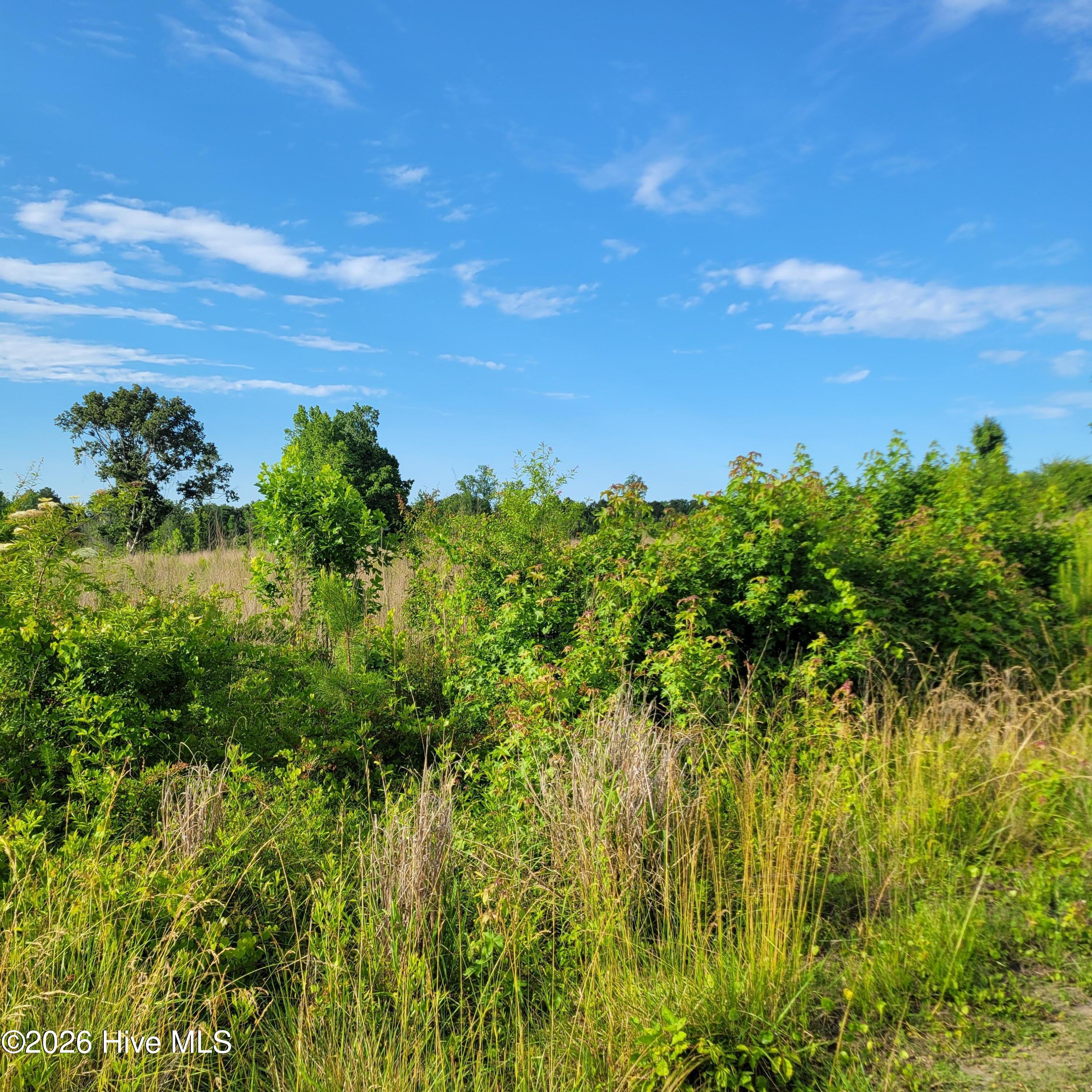 3215492710 Little Kelly Road Property Photo 1
