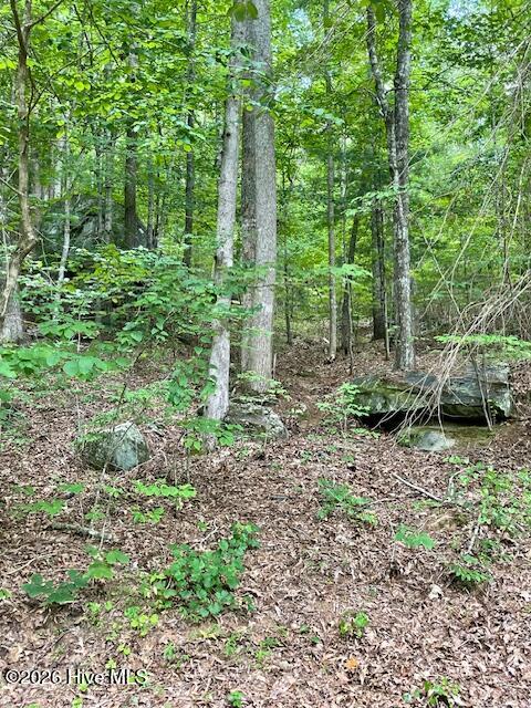 11 Lonesome Pine Road Property Photo 4