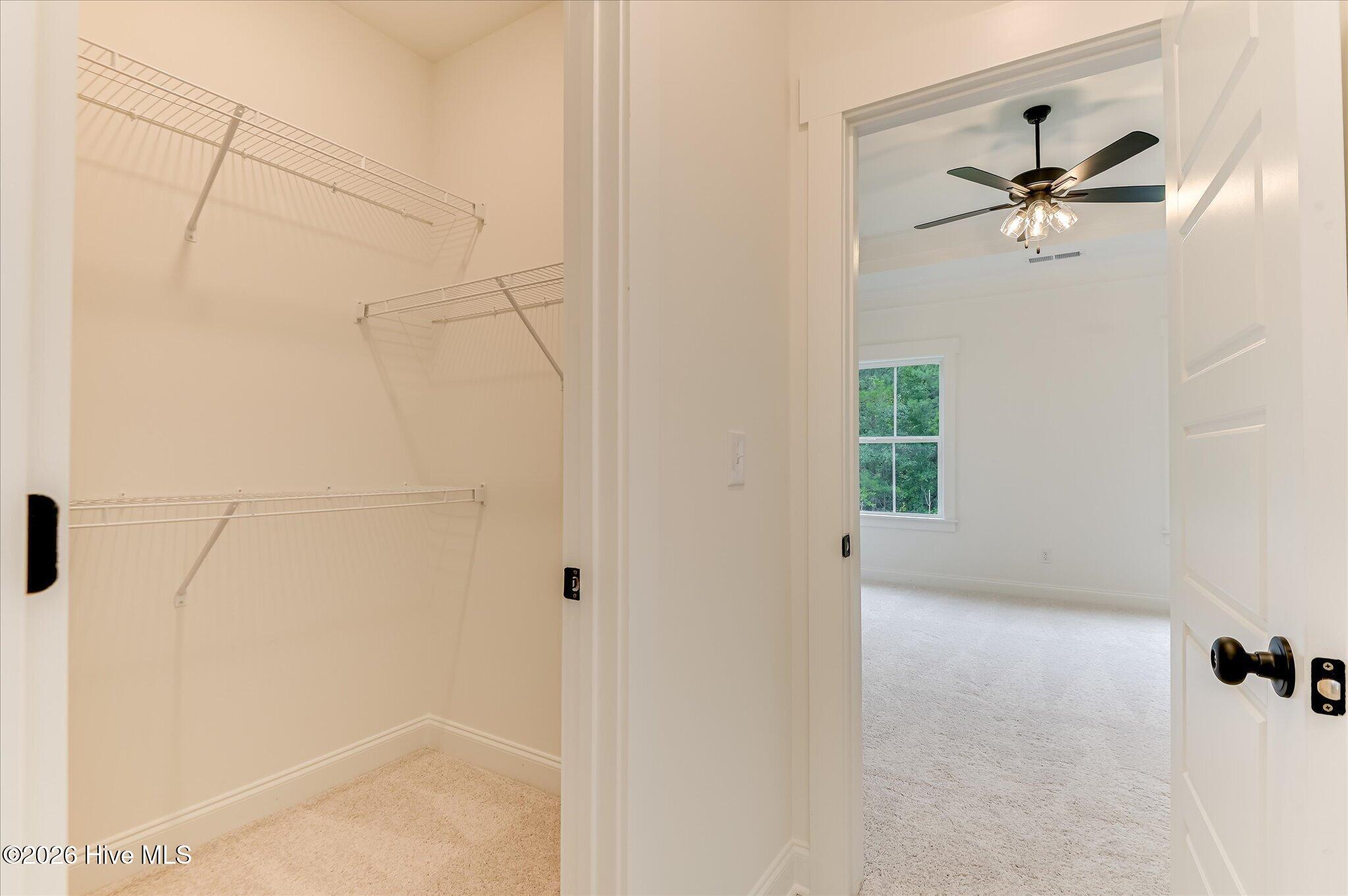 459 Granard Street Property Photo 29