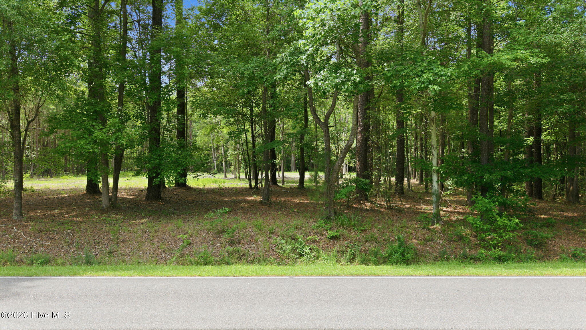 9 Ags Avenue Property Photo 14
