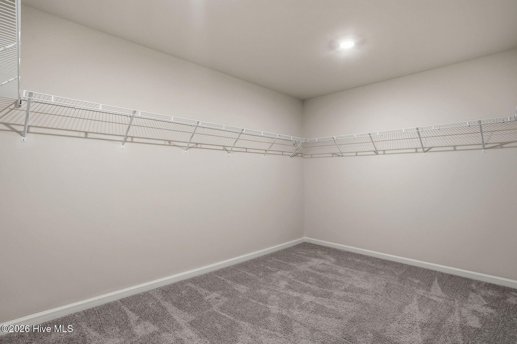 51 Coffee Tree Circle Property Photo 28