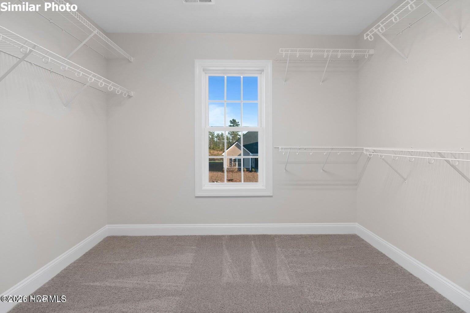 318 Windmill Light Way Property Photo 9