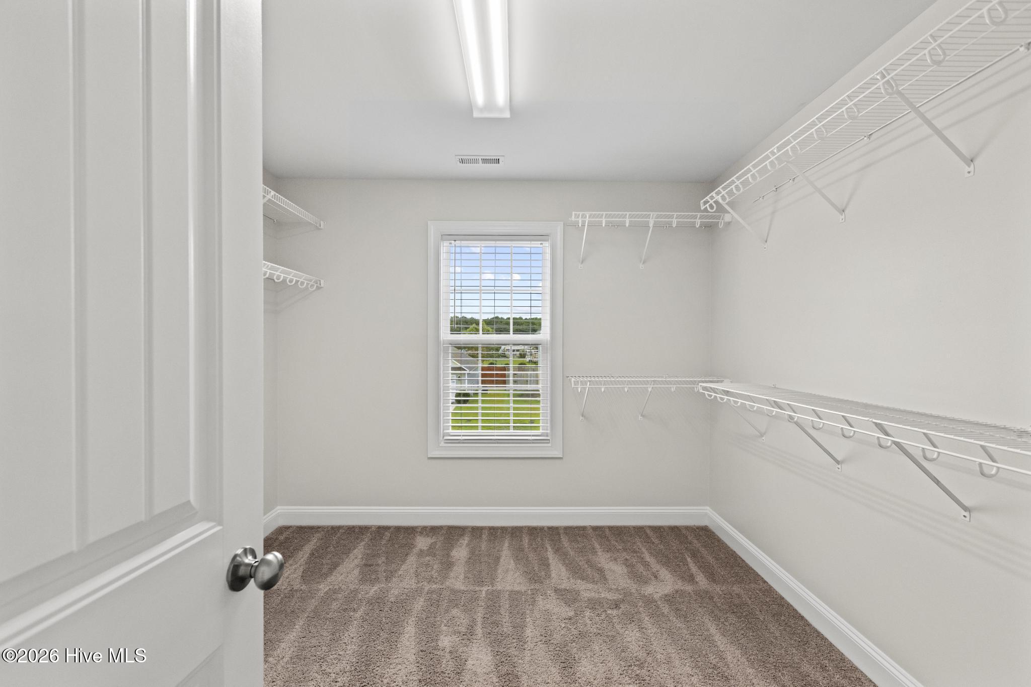 318 Windmill Light Way Property Photo 16