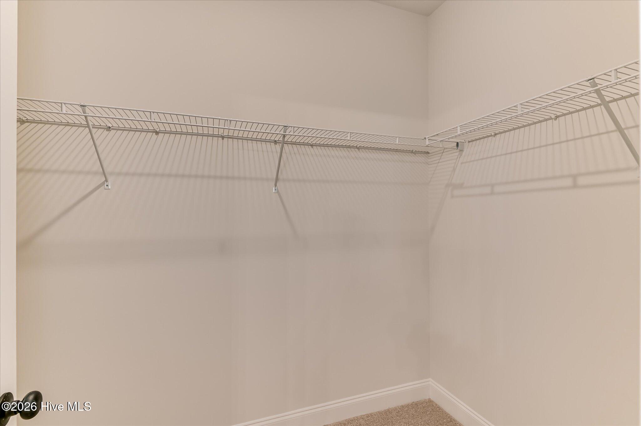 399 Bay Meadows Drive Property Photo 23