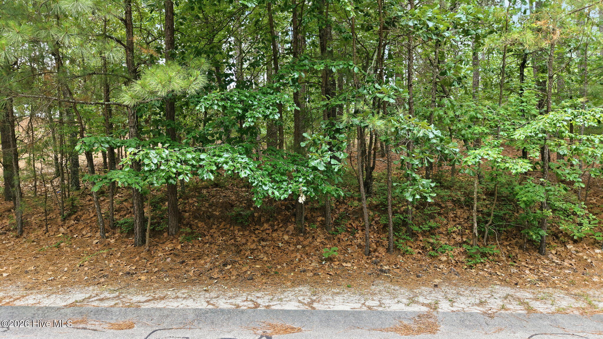 128 4207 Vanore Road Property Photo 4