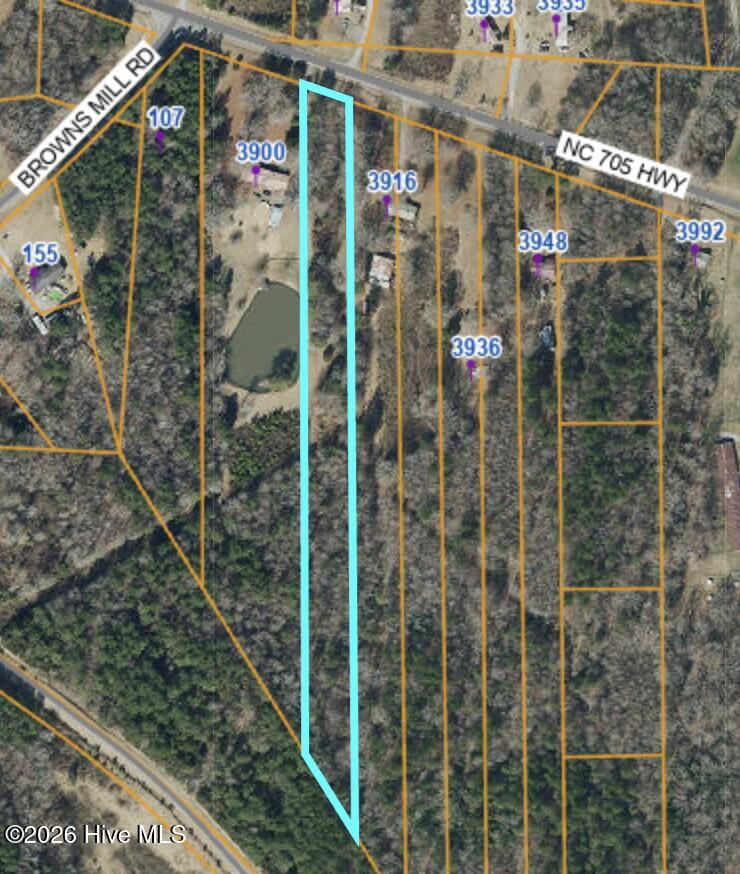 Tbd Nc Hwy 705 Property Photo 2