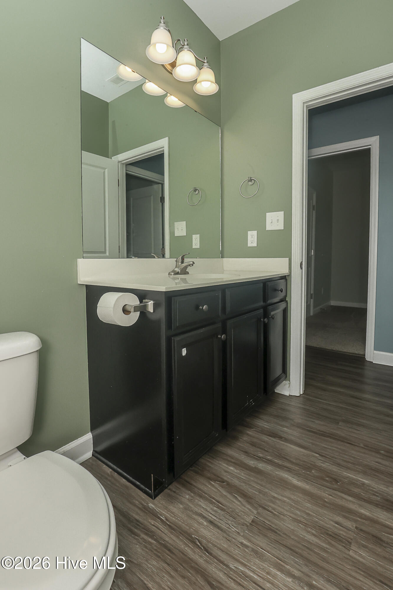 223 Holly Grove Court E Property Photo 44