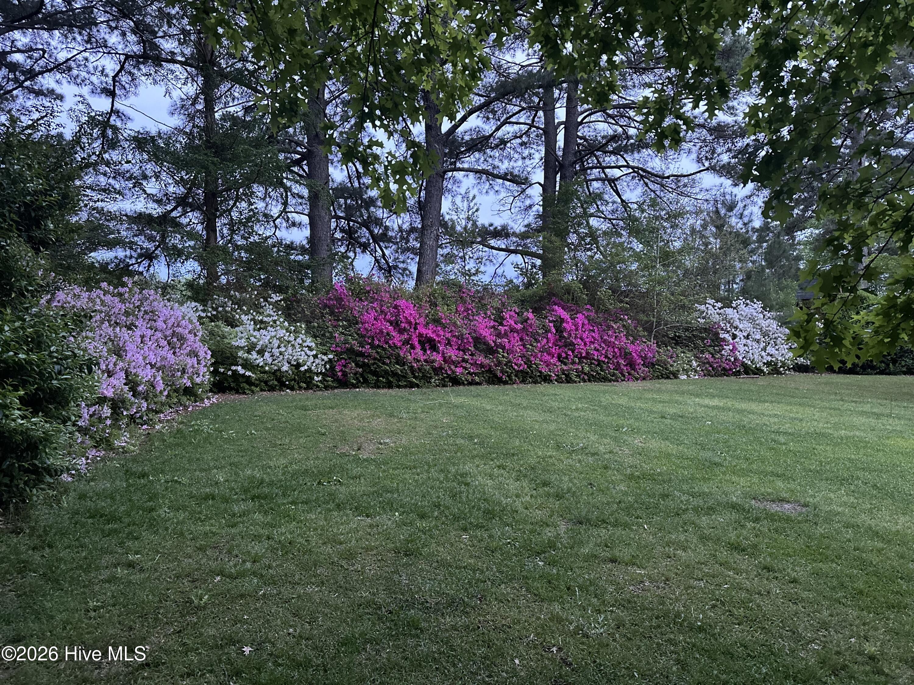 4105 Sterling Trace Drive Property Photo 51