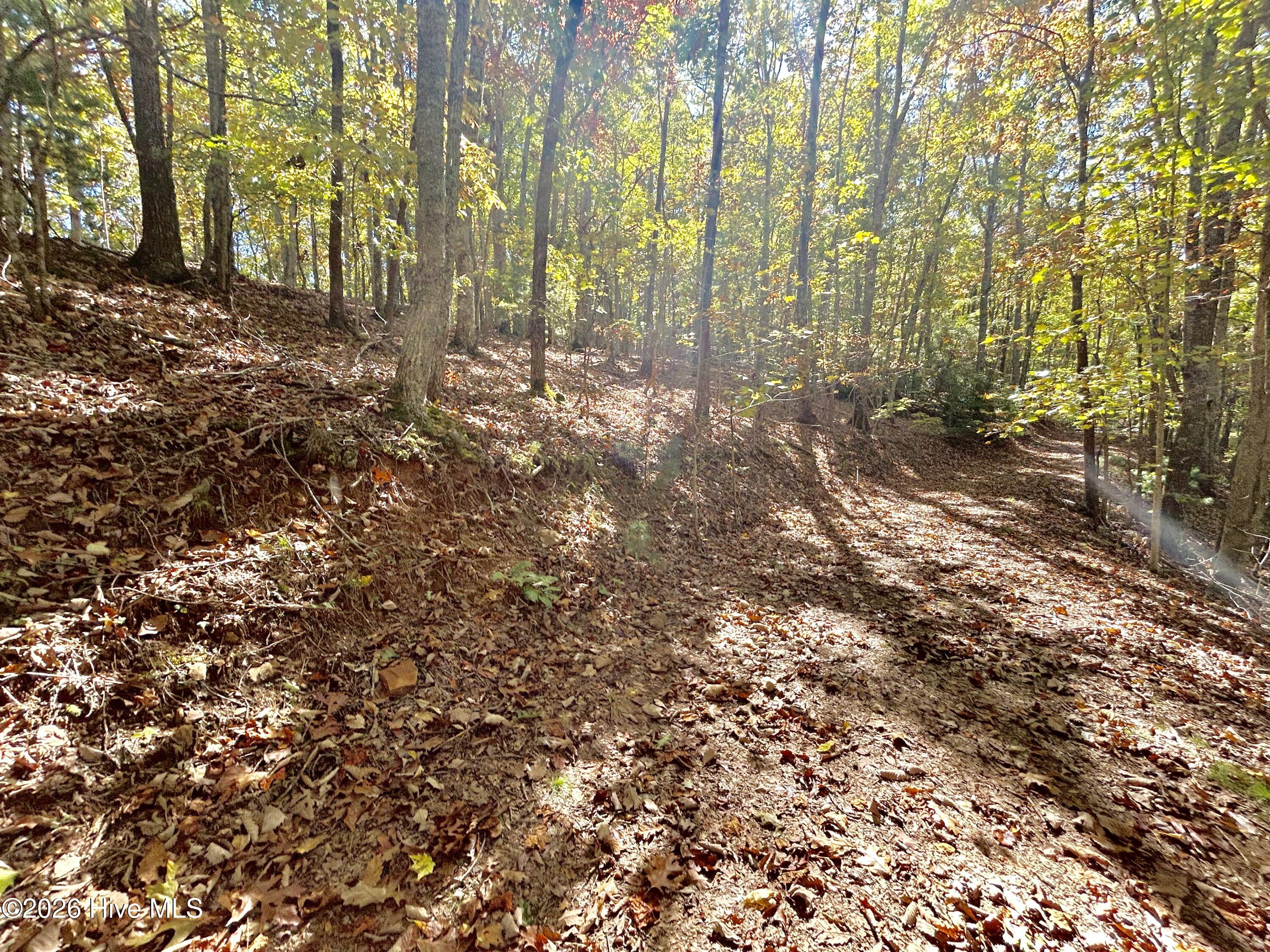 Lot 1 Property Photo 3