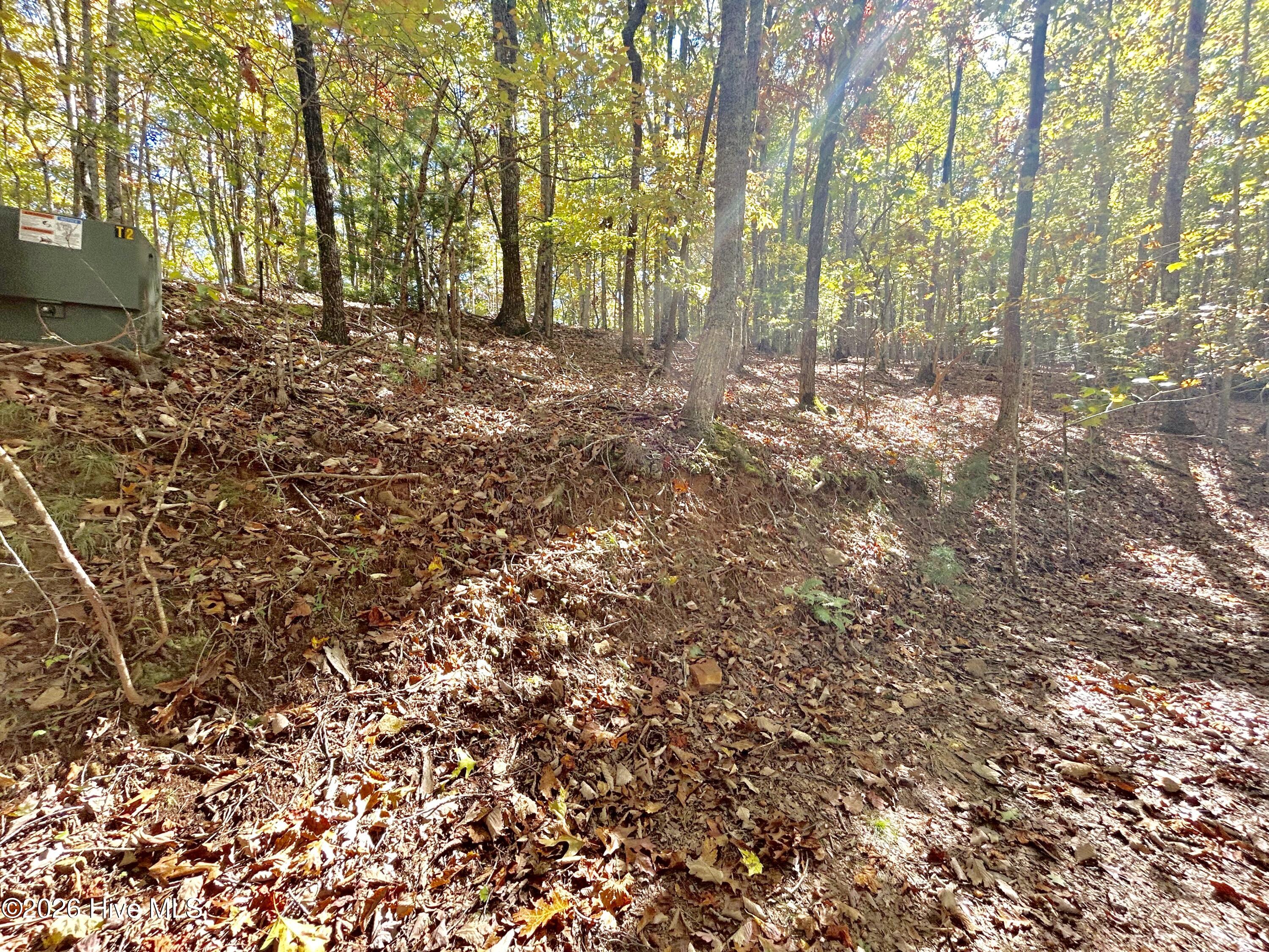 Lot 1 Property Photo 4