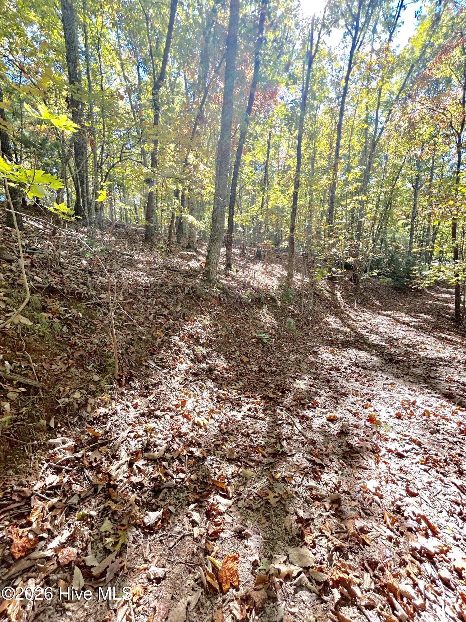 Lot 1 Property Photo 5