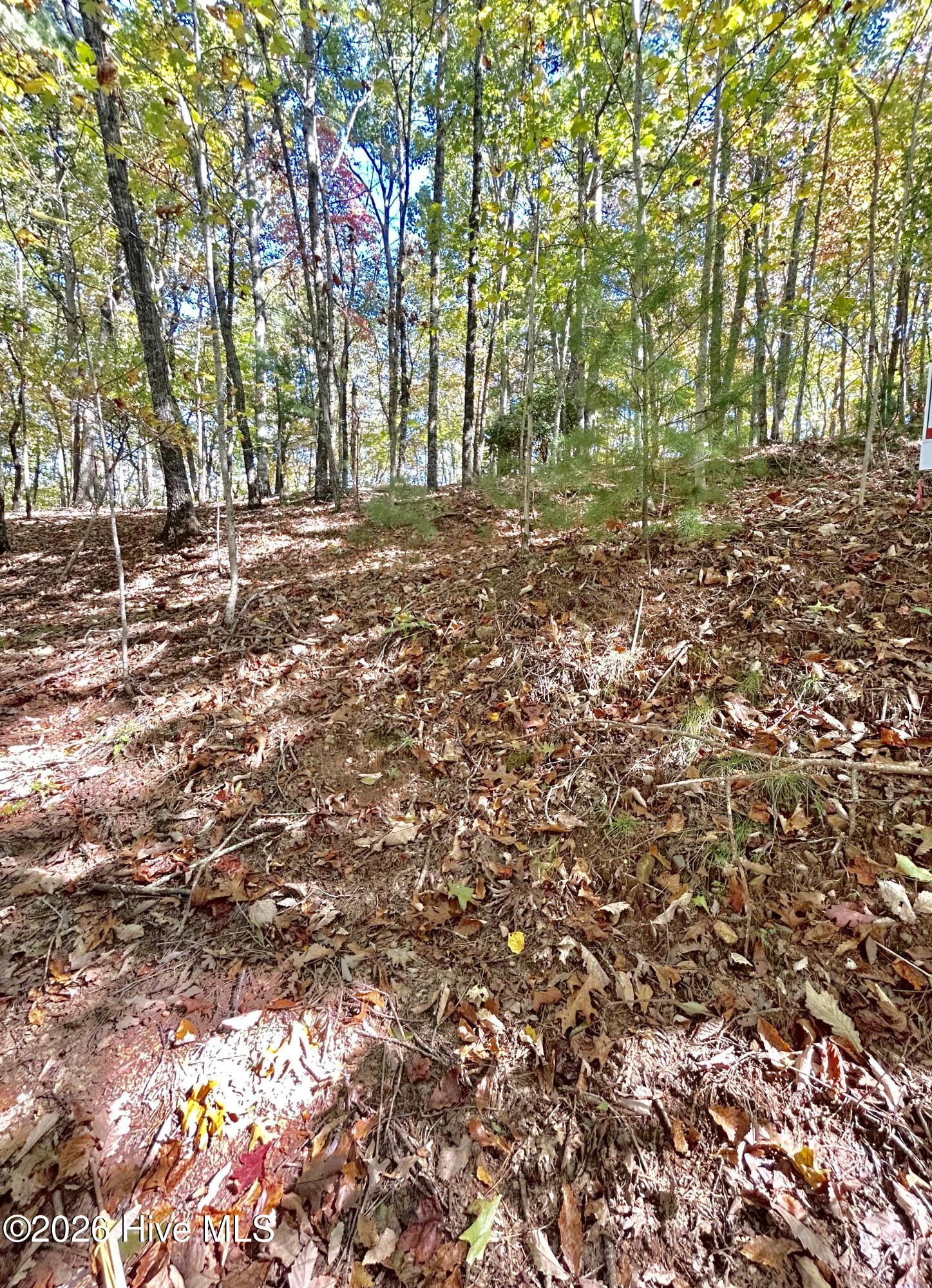 Lot 1 Property Photo 6