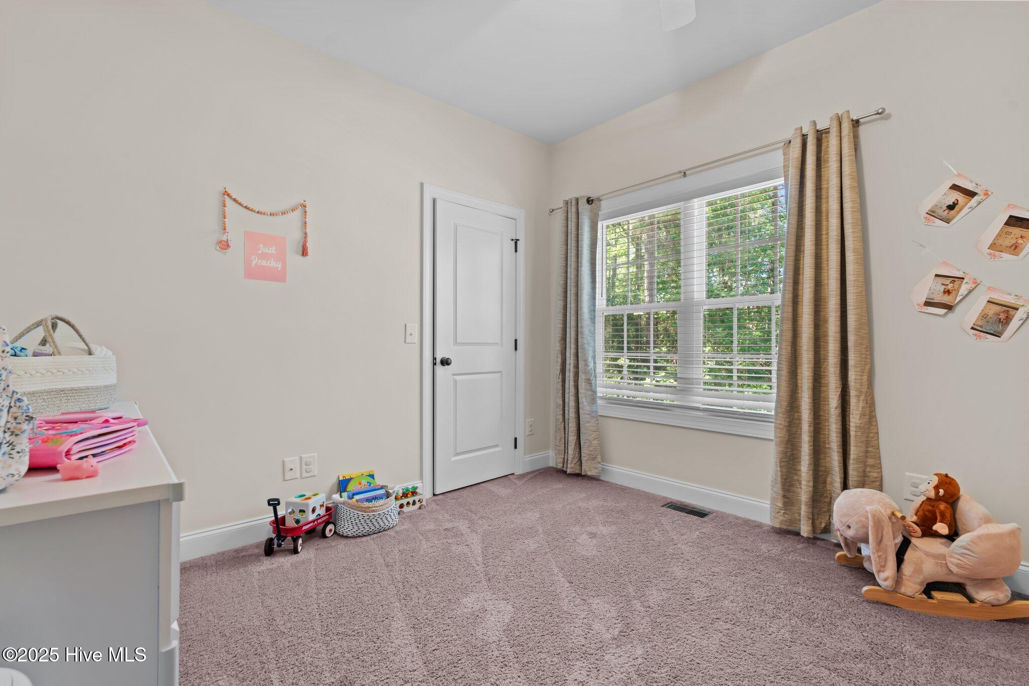 27 Pine Lake Drive Property Photo 22