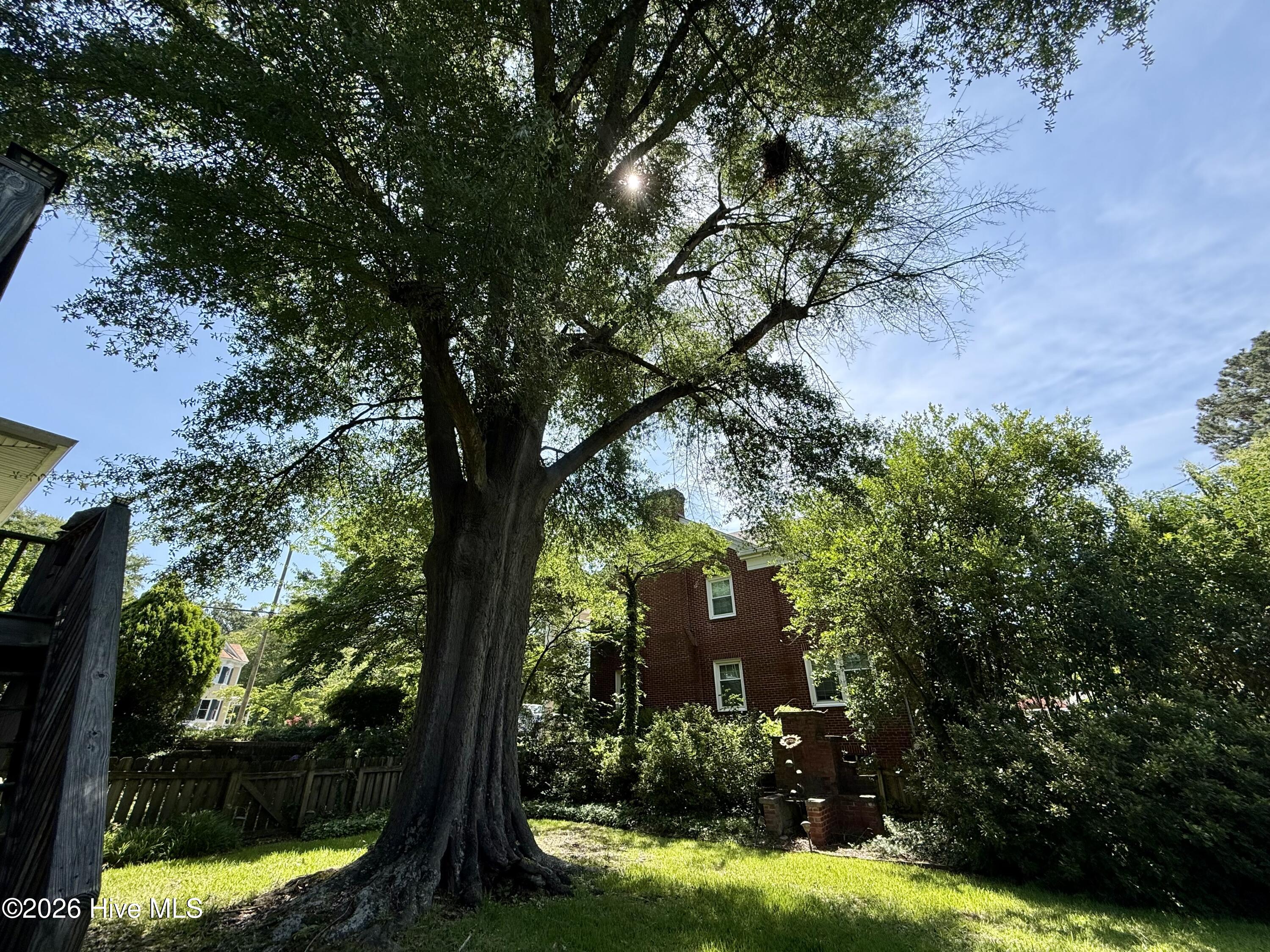 103 Finch Street Property Photo 28