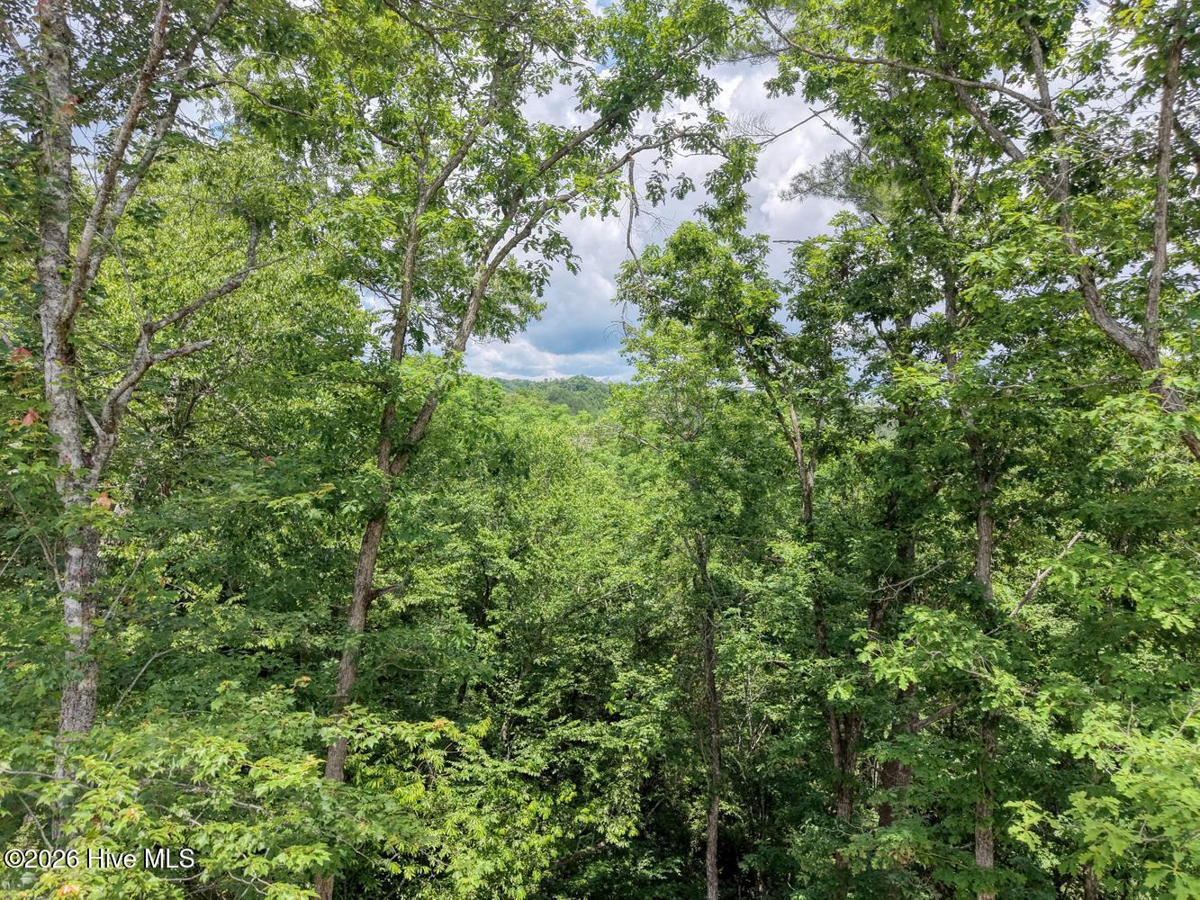 460 River Mountain Road Property Photo 40