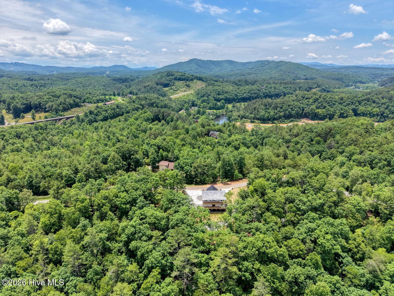 460 River Mountain Road Property Photo 69