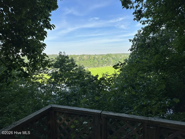 194 Ingrams Mill Road Property Photo 16