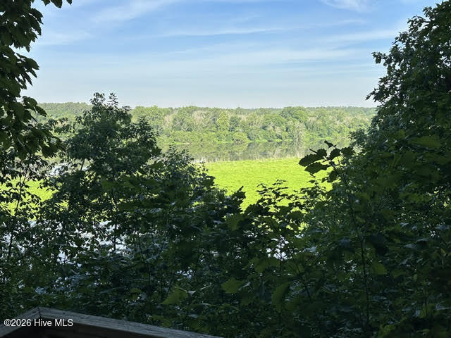 194 Ingrams Mill Road Property Photo 17