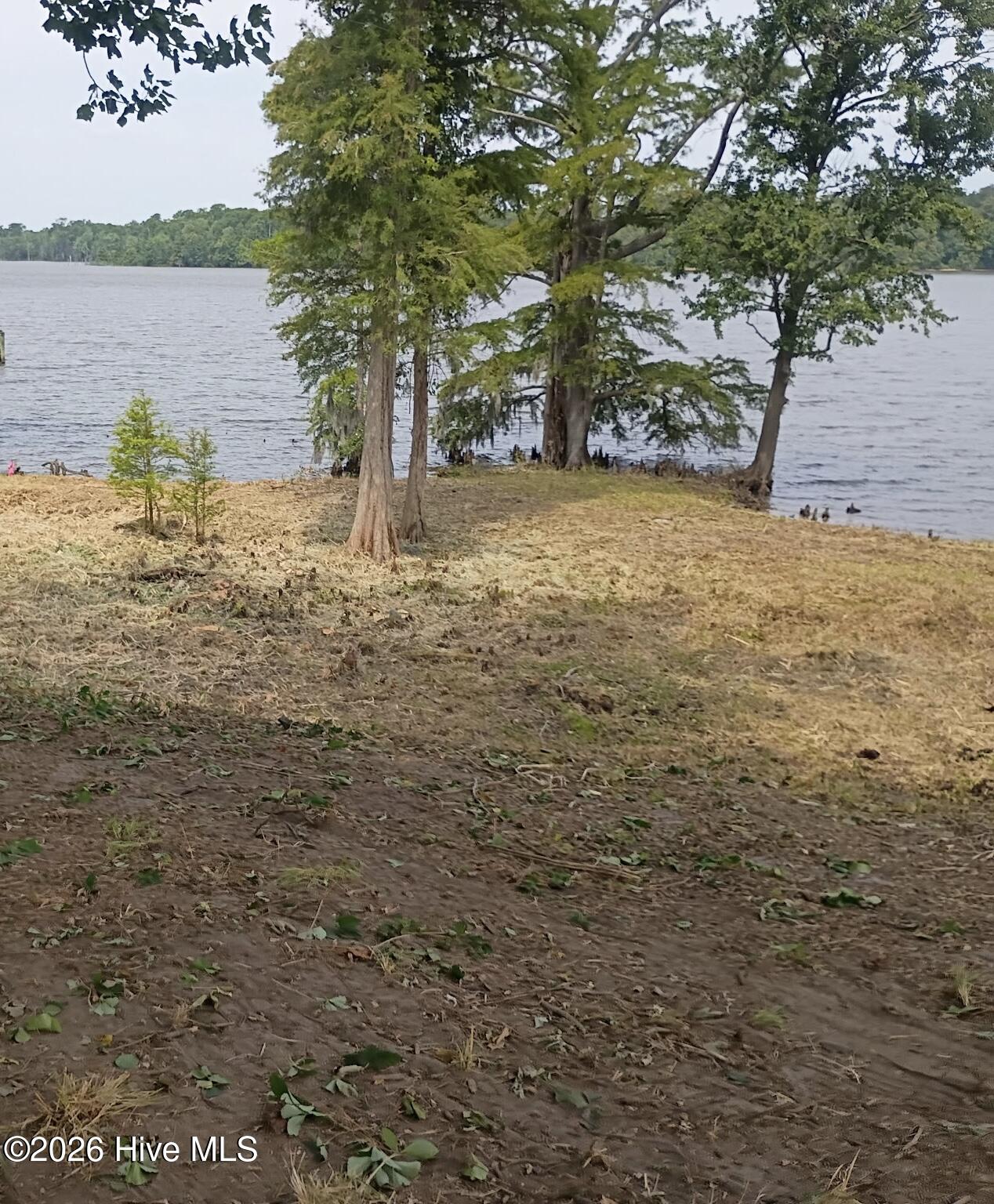 183 151 Herring Lane Property Photo 5