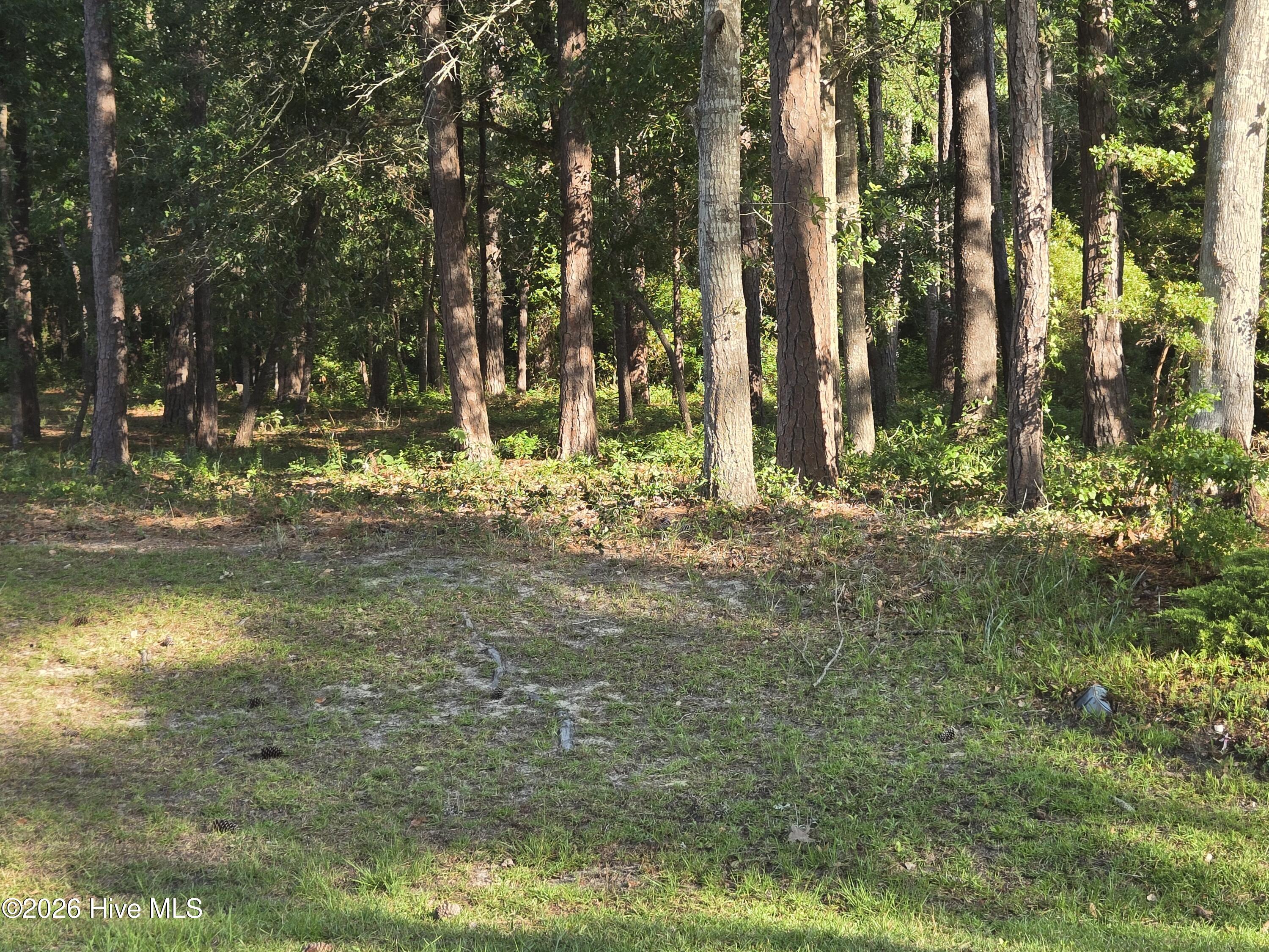 3840 27 Timber Stream Drive Property Photo 1